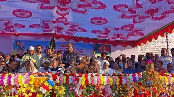 image-here
